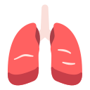 pulmones 