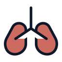 pulmones 