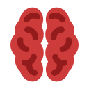 órgano cerebral 
