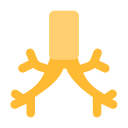 brônquios 