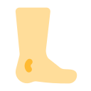 le pied 