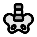 pelvis icon