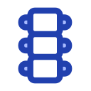 columna vertebral icon