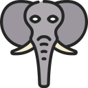 elefante