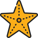 estrella de mar