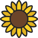 girasol icon