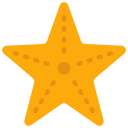 estrella de mar