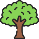 Árbol icon