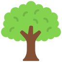 Árbol