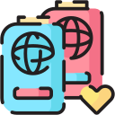 pasaporte icon