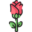 rosa icon