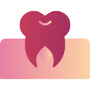 molar icon