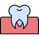 molar icon