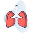 pulmones icon