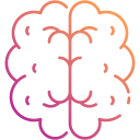 cerebro humano