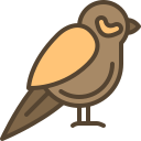 pájaro icon