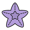 estrella de mar