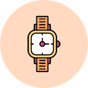 reloj icon