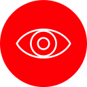 ojo icon