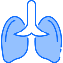 pulmones