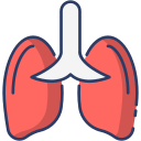 pulmones icon