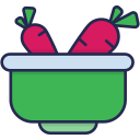 vegetariano icon