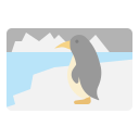 pingüino icon