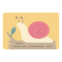 caracol icon