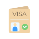 visa icon