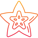 carambola icon