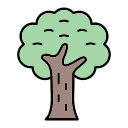 Árbol icon