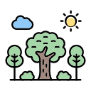 bosque icon