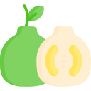 pomelo icon