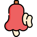 cashew appel icoon