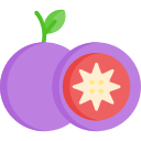 manzana estrella icon