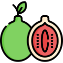 guayaba 