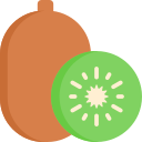 kiwi icon