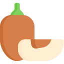 zapote icon