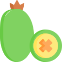 feijoa icon