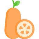 naranja china icon