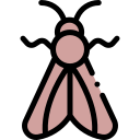 polilla icon