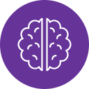 cerebro humano icon