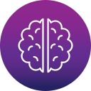 cerebro humano icon