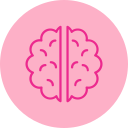 cerebro humano icon