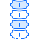 columna vertebral