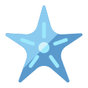 estrella de mar