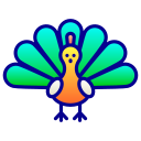 pavo