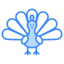 pavo icon