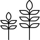 dos plantas icon