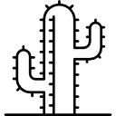 cactus grande icon